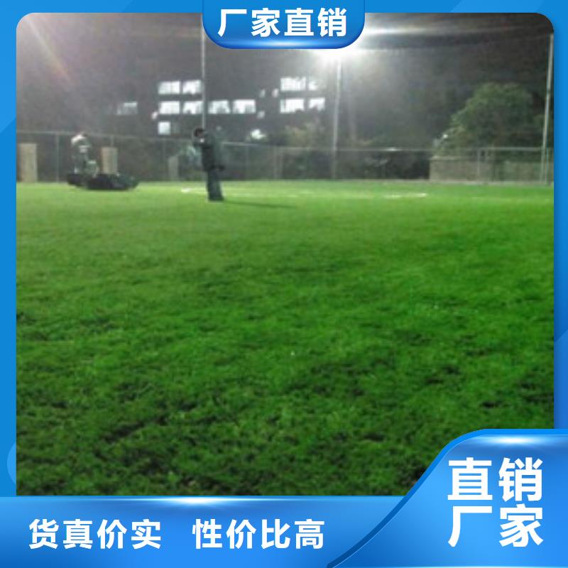 人造草坪塑胶跑道产品细节