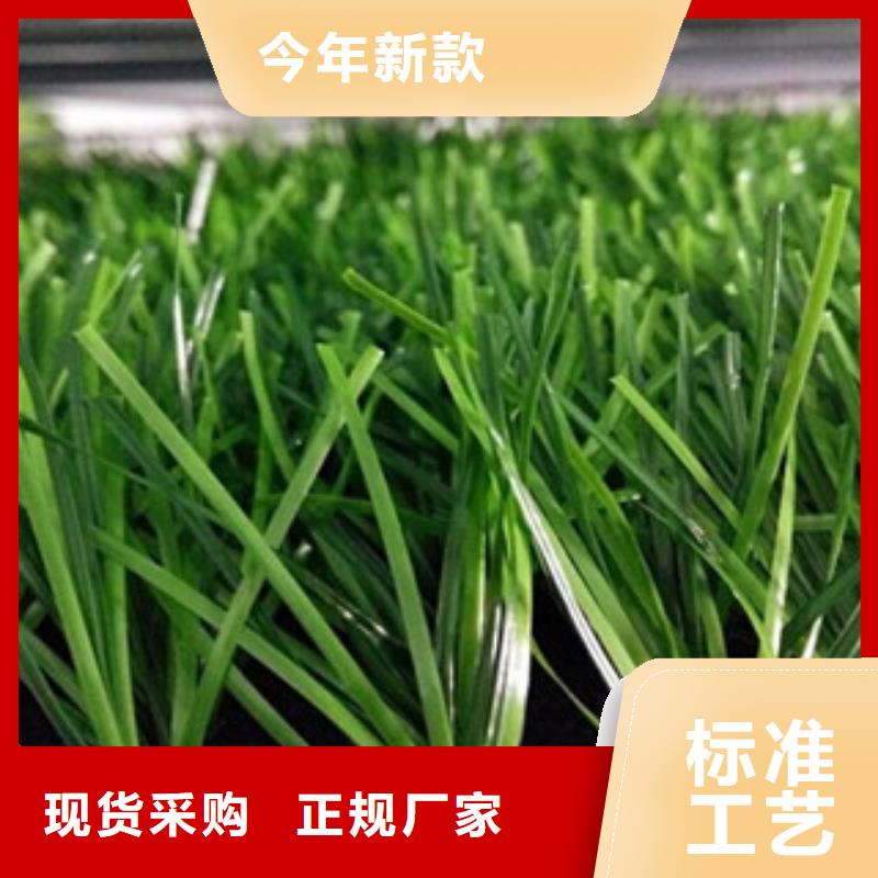 人造草坪厂家货源稳定