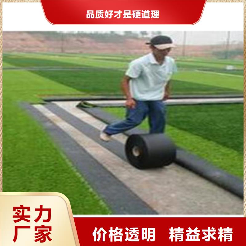 人造草坪【室外健身器材】价格实在
