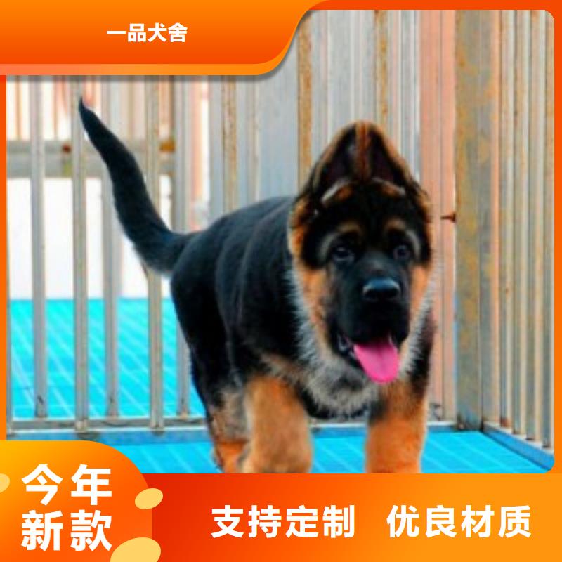 【德国牧羊犬】,卡斯罗犬工艺精细质保长久