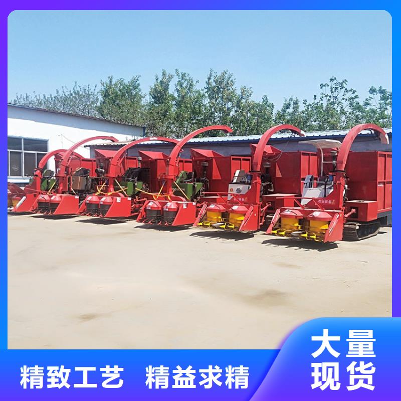 青储机比特犬价格有优势