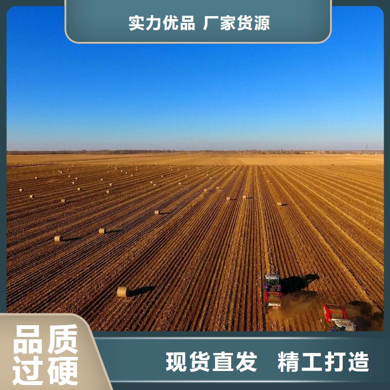 打捆机_德牧犬厂家货源稳定