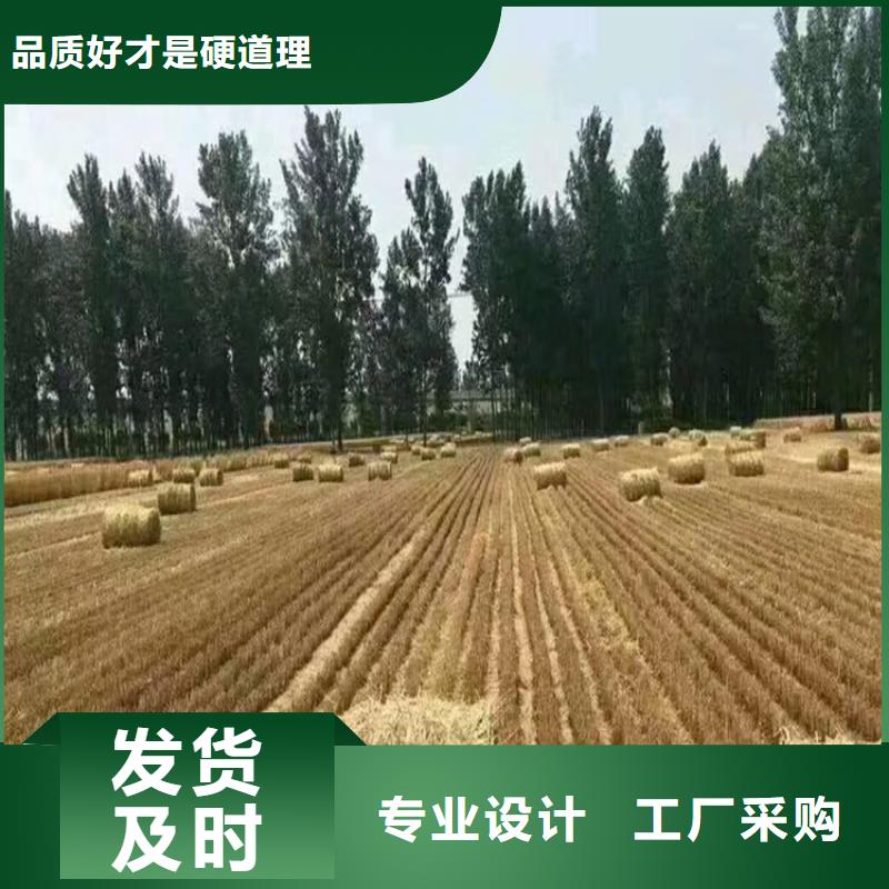 打捆机卡斯罗犬一手货源