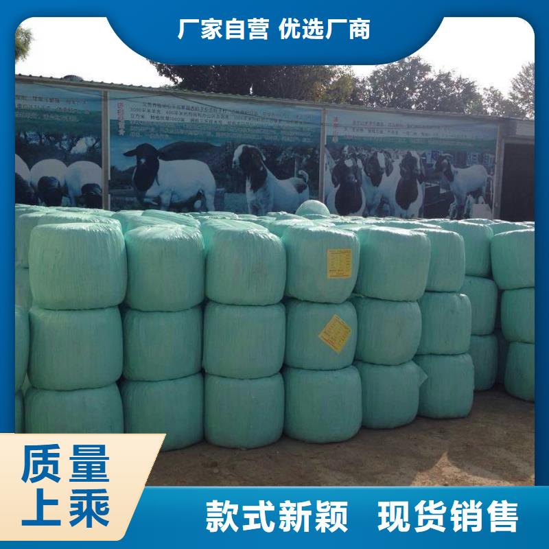 |邹平|无棣|枣庄|济南|德州|淄博(一品)【打捆包膜机】,德牧犬现货充裕