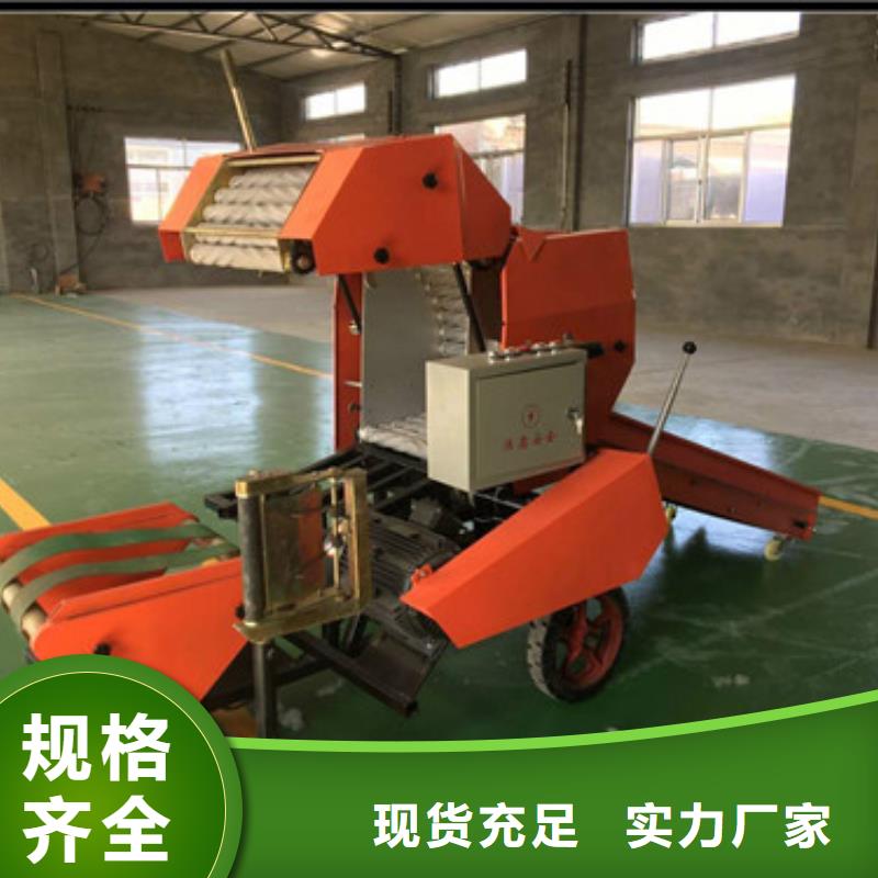 |邹平|无棣|枣庄|济南|德州|淄博(一品)【打捆包膜机】,德牧犬现货充裕
