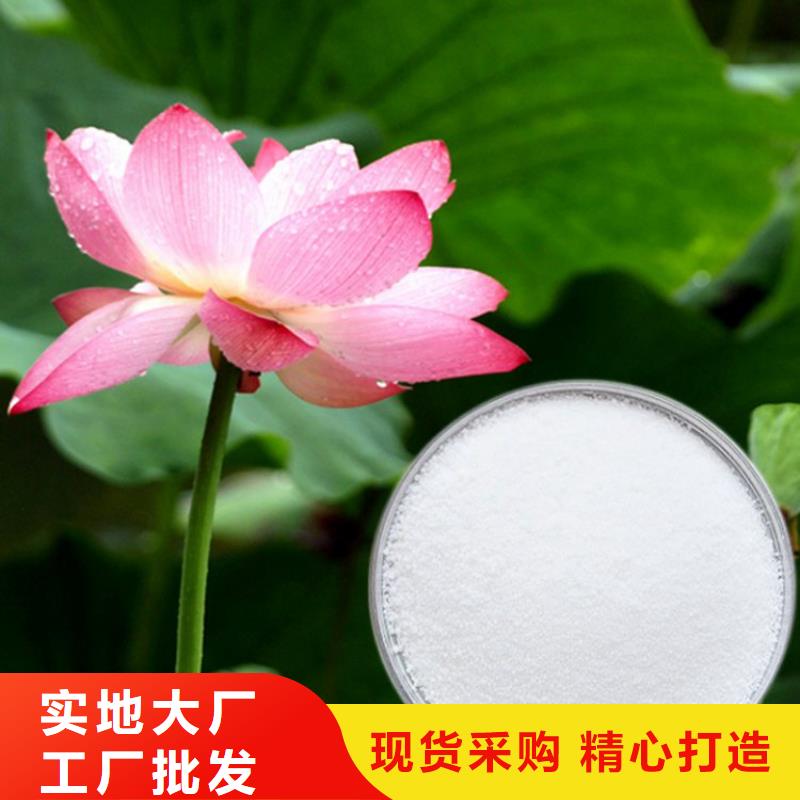 氨氮降解菌批发价