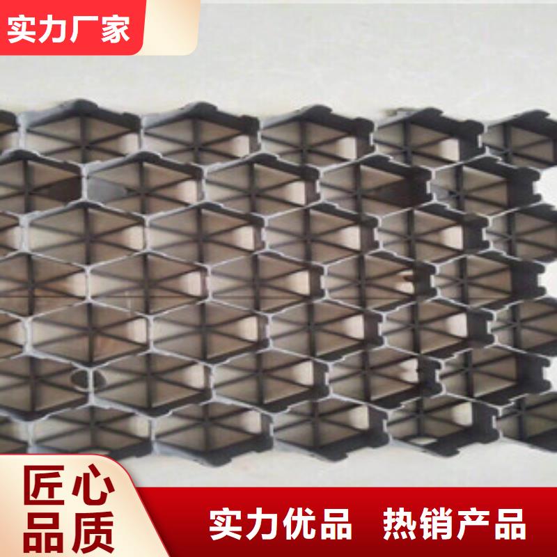 环保植草格,【植草格厂家】细节决定成败-富泰土工材料(绍兴市分公司)