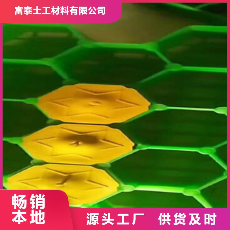 环保植草格-植草格厂家产地直销