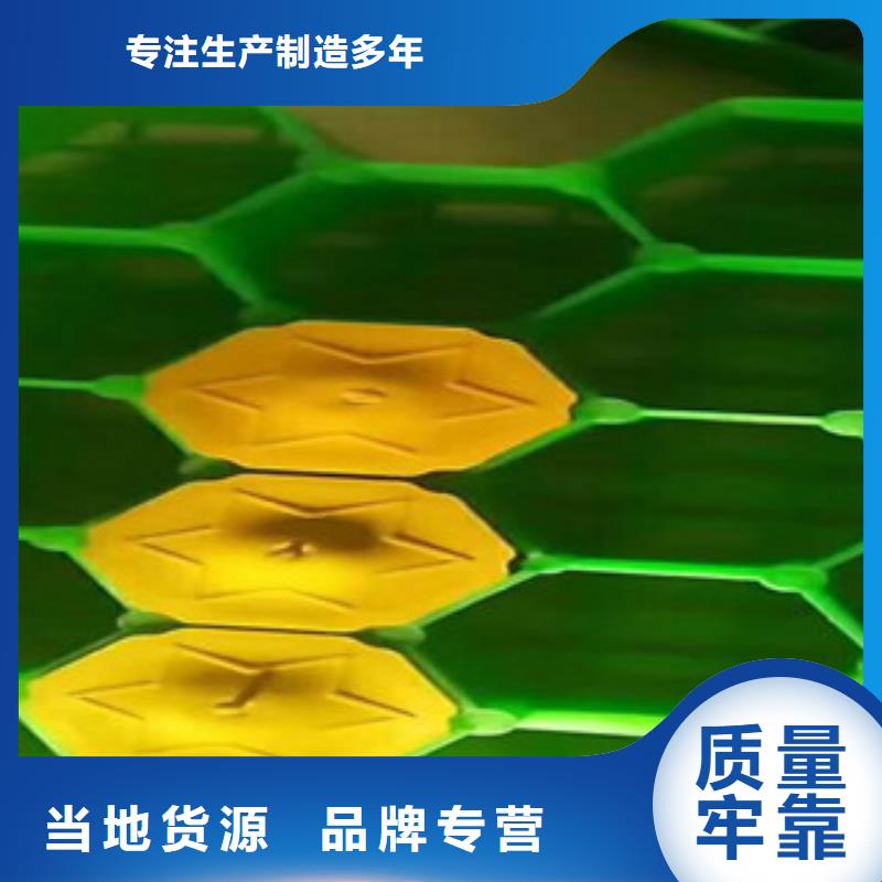 (富泰)【 环保植草格 蓄排水板厂家品质优良】
