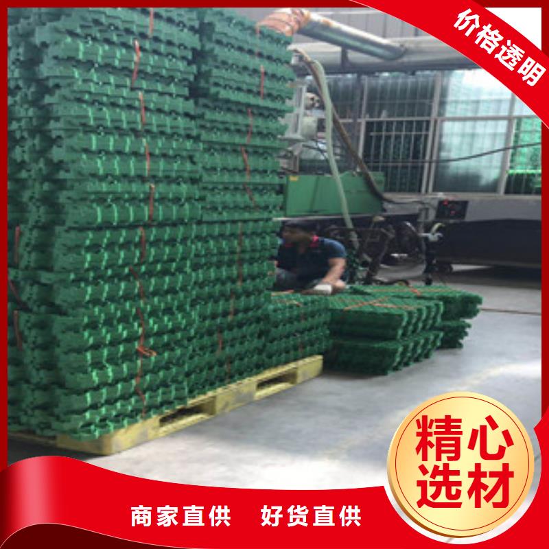 环保植草格,【植草格厂家】细节决定成败-富泰土工材料(绍兴市分公司)
