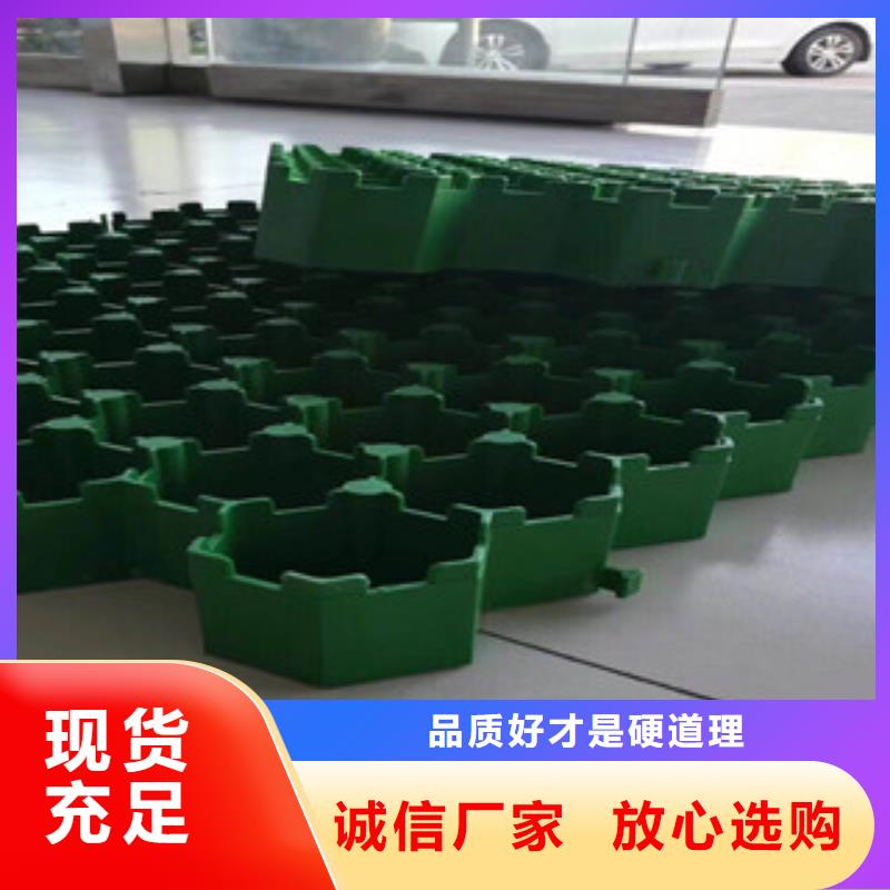 (富泰)【 环保植草格 蓄排水板厂家品质优良】