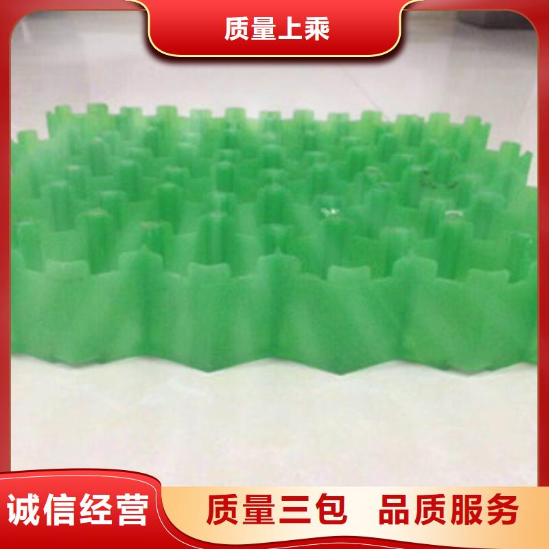 环保植草格膨润土防水毯厂家现货满足大量采购