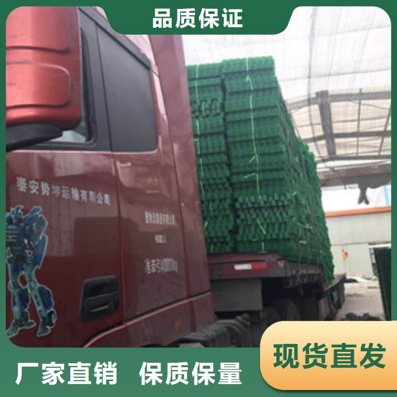 (富泰)【 环保植草格 蓄排水板厂家品质优良】