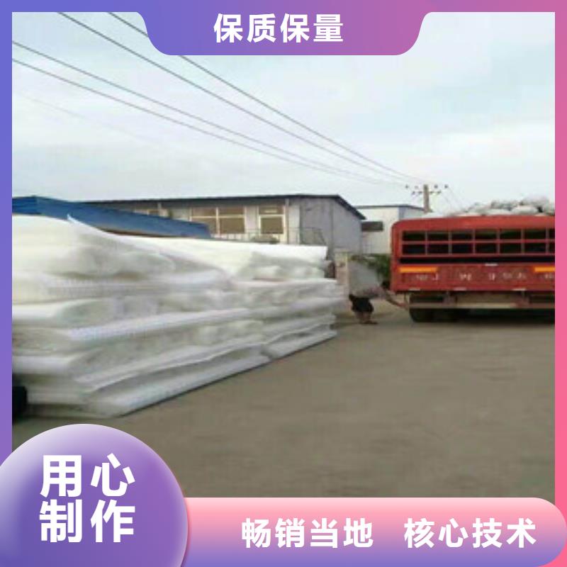 塑料排水板-【蓄排水板厂家】细节展示-服务范围包括泰山|岱岳|东营|菏泽|青岛|枣庄|日照等