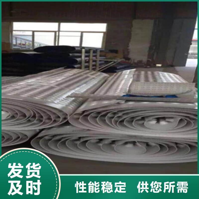 塑料排水板膨润土防水毯厂家贴心服务