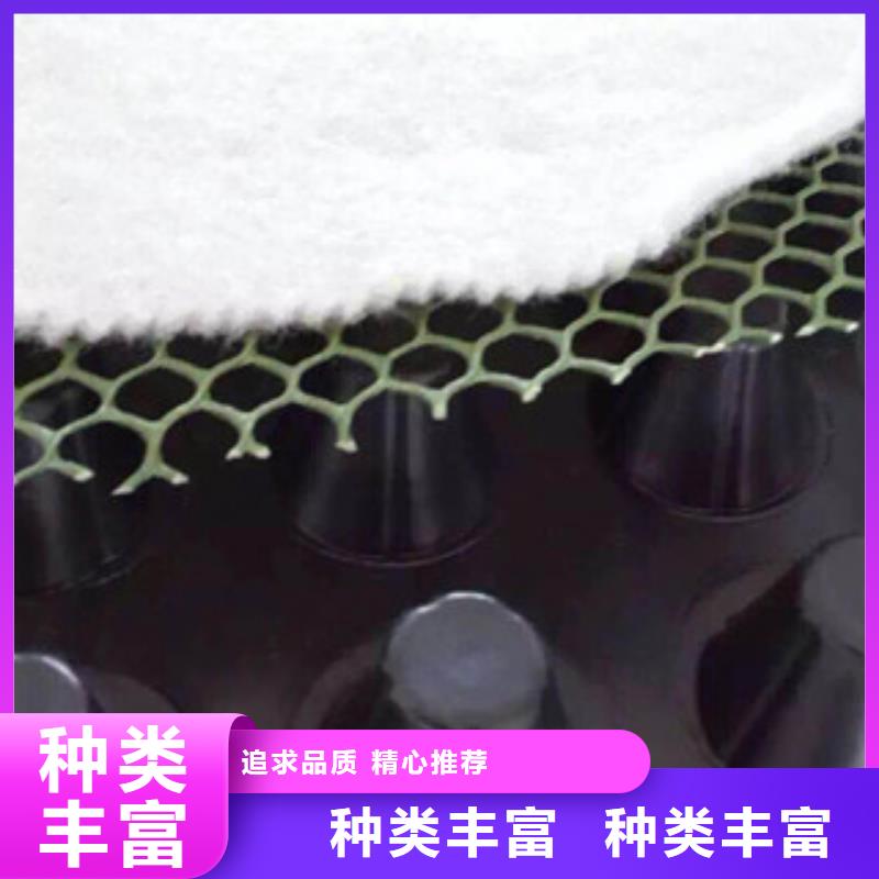 塑料排水板无纺布厂家一周内发货