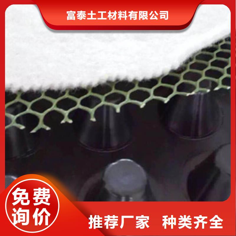 塑料排水板-植草格厂家专注细节使用放心