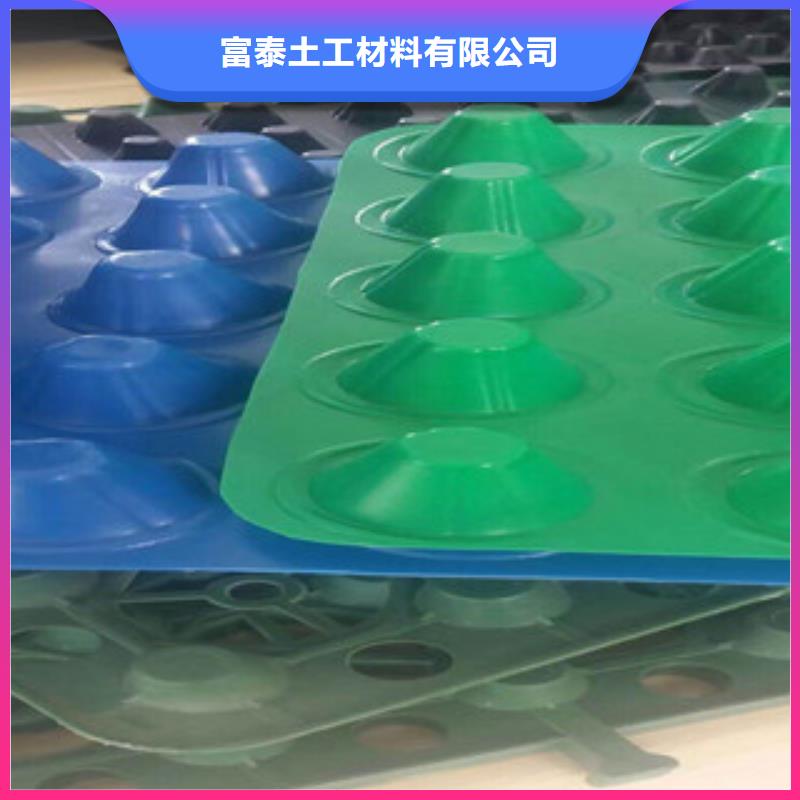 塑料排水板-【蓄排水板厂家】细节展示-服务范围包括泰山|岱岳|东营|菏泽|青岛|枣庄|日照等