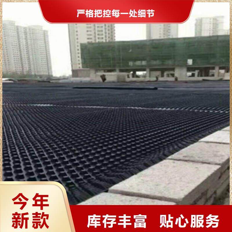 塑料排水板_蓄排水板厂家源头直供