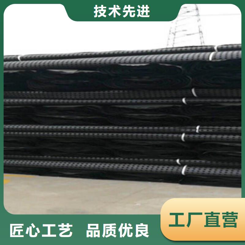 塑料排水板蓄排水板厂家厂家现货供应