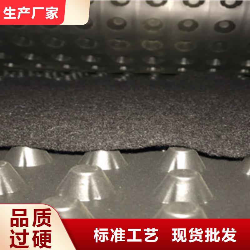 塑料排水板-植草格厂家专注细节使用放心