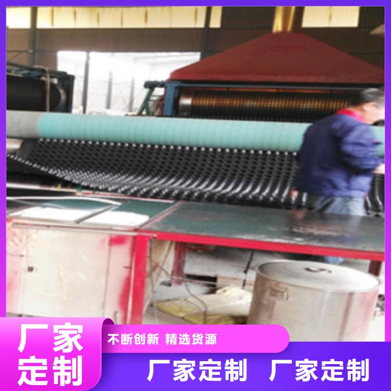 塑料排水板-植草格厂家专注细节使用放心