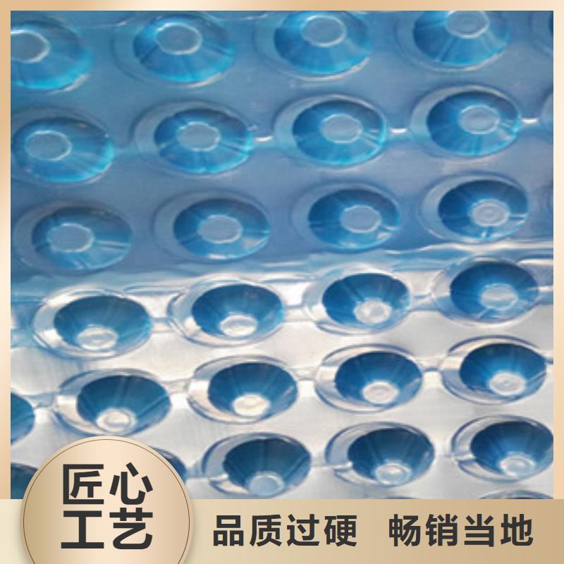 塑料排水板蓄排水板厂家定制零售批发