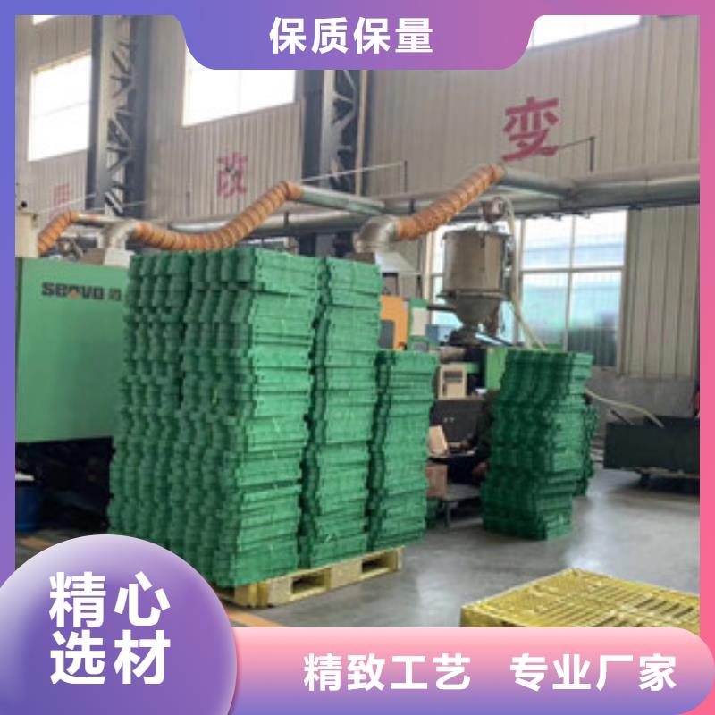植草格_膨润土防水毯厂家用途广泛