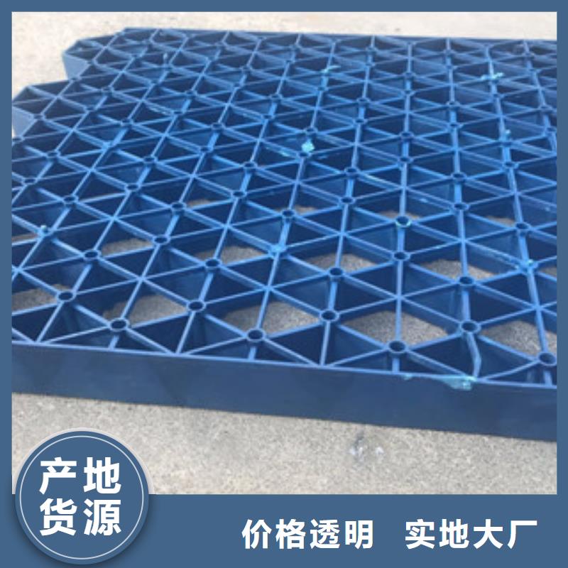 植草格排水板厂家精工细作品质优良