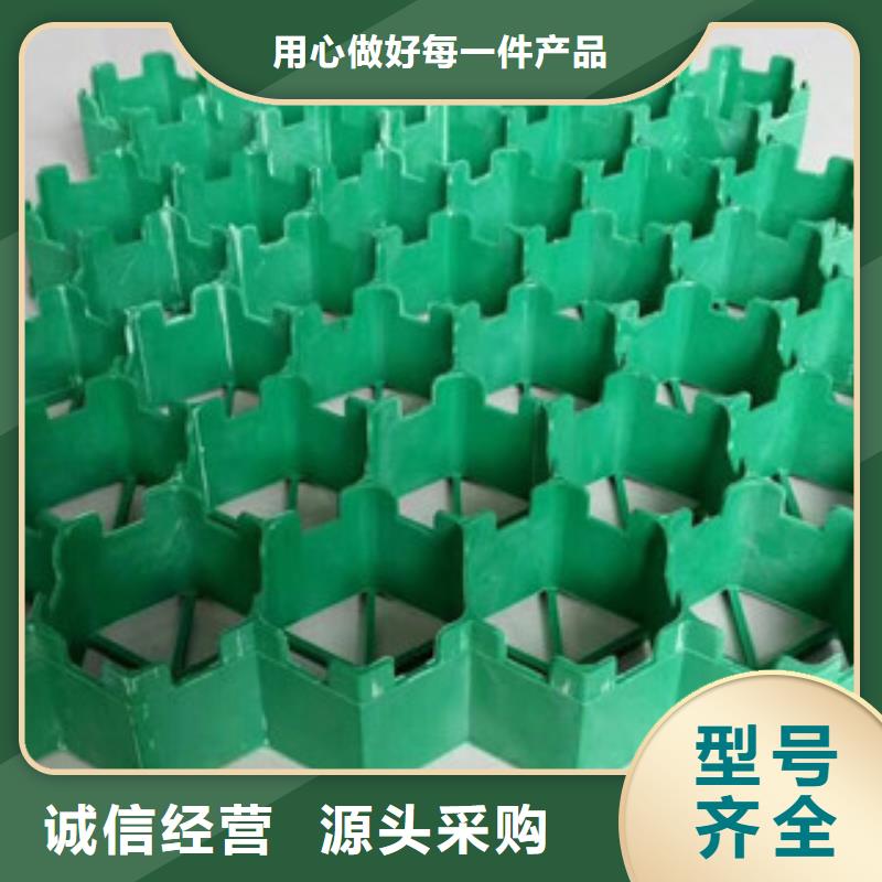 植草格_【膨润土防水毯厂家】每个细节都严格把关 富泰土工材料(汉中市分公司)