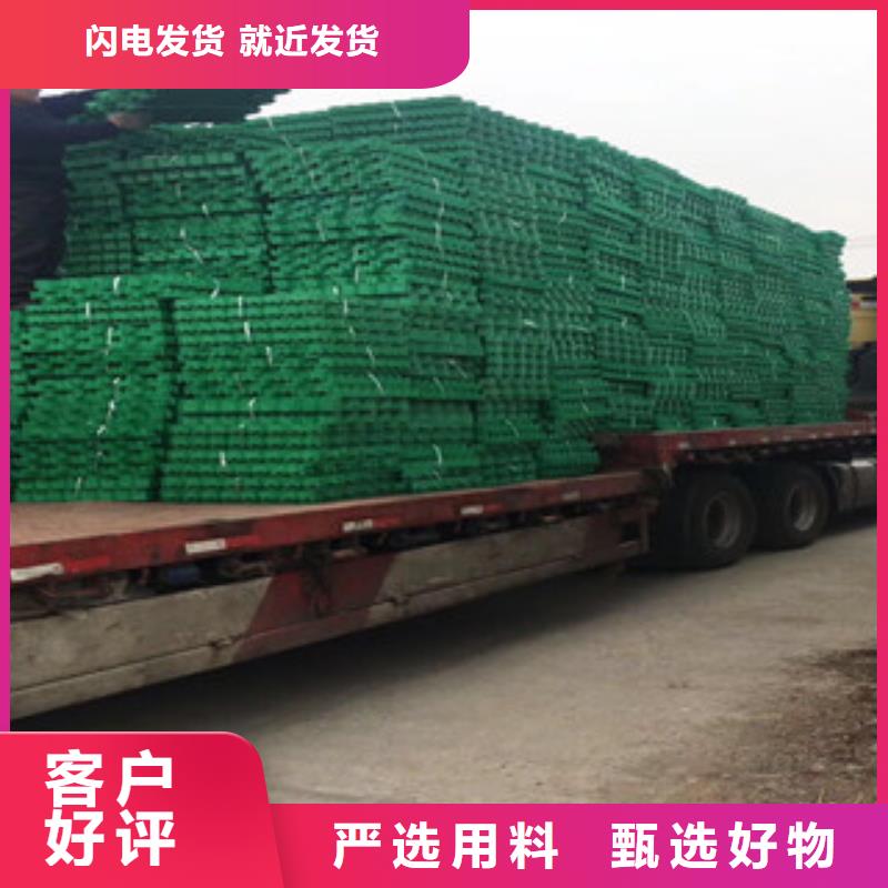 植草格_【膨润土防水毯厂家】每个细节都严格把关 富泰土工材料(汉中市分公司)