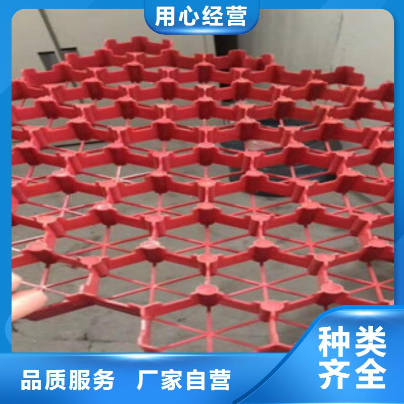 植草格膨润土防水毯厂家源头把关放心选购