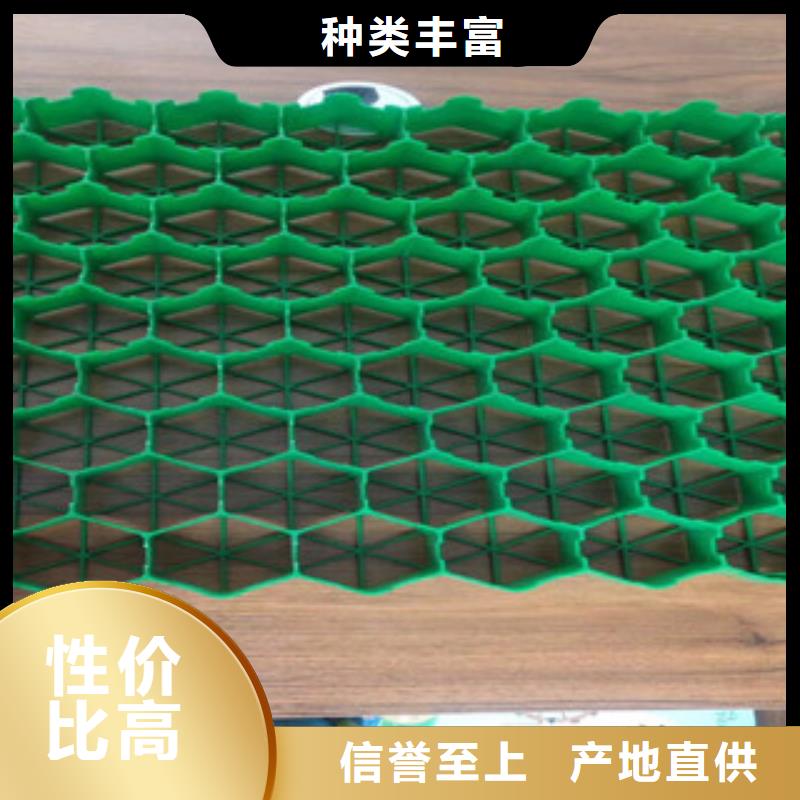 植草格_【膨润土防水毯厂家】每个细节都严格把关 富泰土工材料(汉中市分公司)