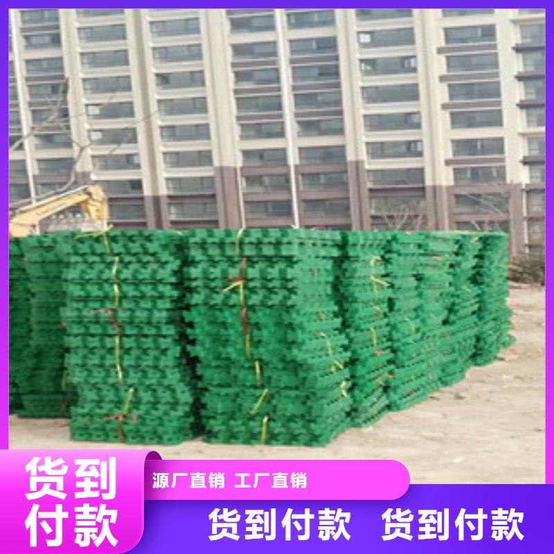 植草格-植草格厂家产地直供