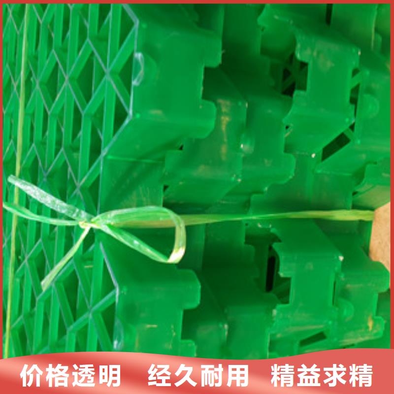 植草格_【膨润土防水毯厂家】每个细节都严格把关 富泰土工材料(汉中市分公司)