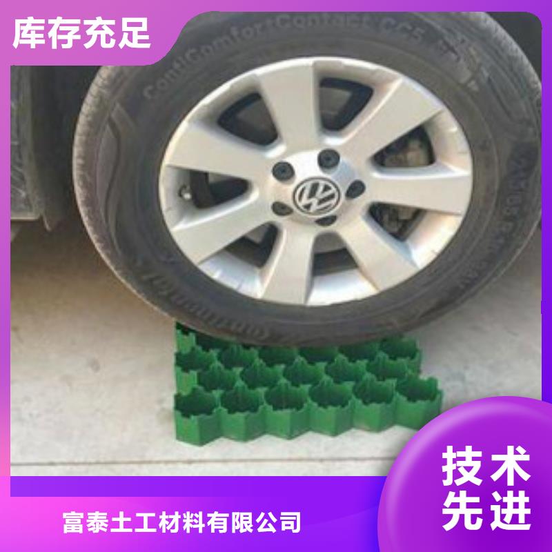 植草格_膨润土防水毯厂家用途广泛