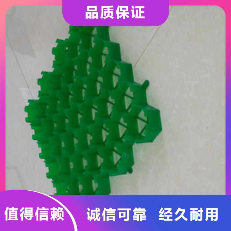 植草格蓄排水板厂家服务至上