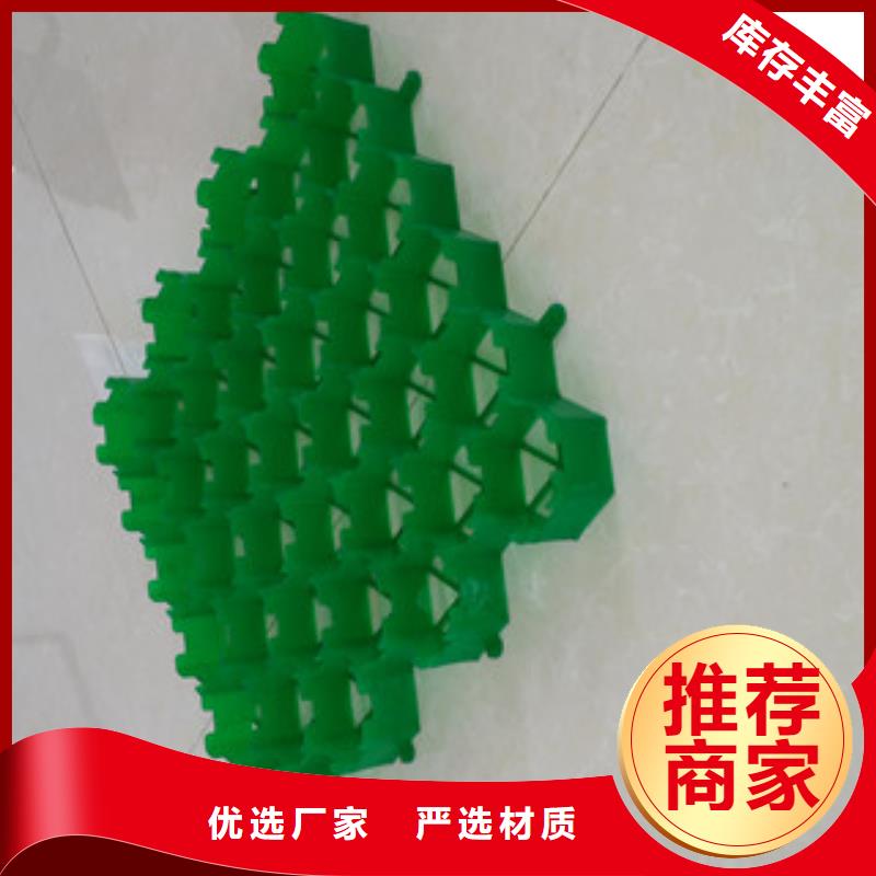 植草格_膨润土防水毯厂家用途广泛