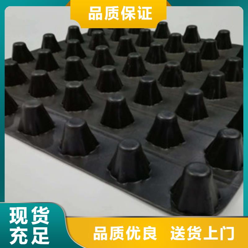 【排水板生态袋厂家厂家精选】