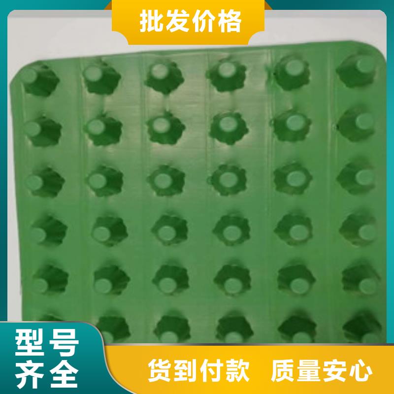 (富泰)【 排水板-蓄排水板厂家做工细致】