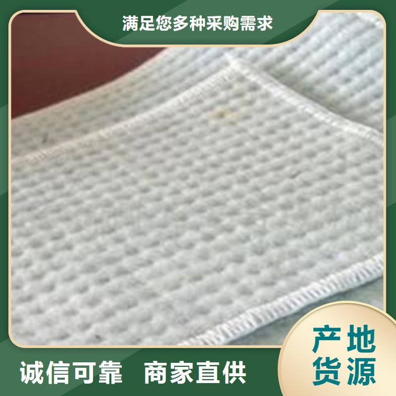 防水毯植草格厂家工期短发货快