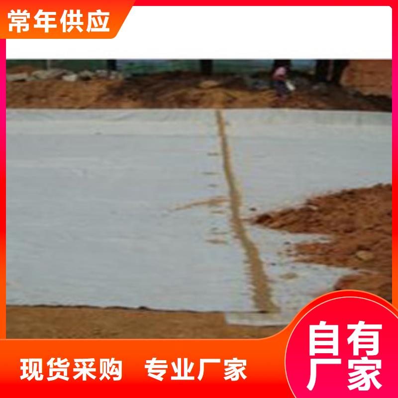 【 防水毯_蓄排水板厂家满足多种行业需求】 富泰土工材料(北京市分公司)
