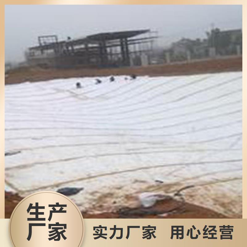 【防水毯】,土工布厂家厂家现货供应_富泰土工材料(海口市分公司)