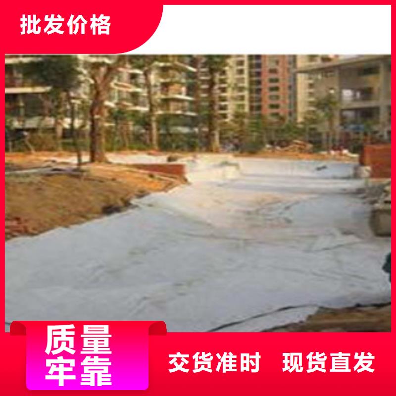 防水毯虹吸排水槽厂家市场行情