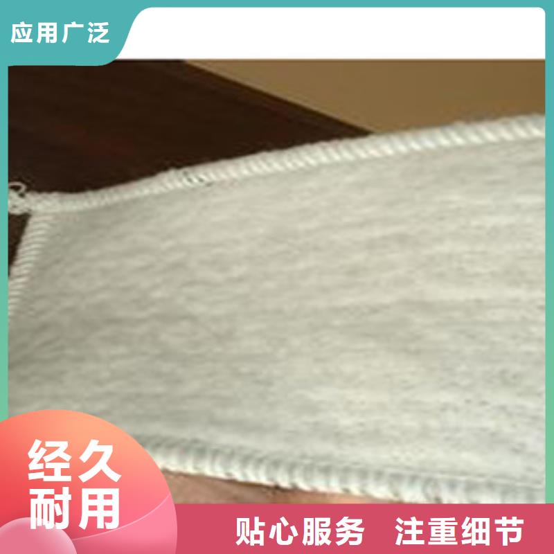 【防水毯】,土工布厂家厂家现货供应_富泰土工材料(海口市分公司)