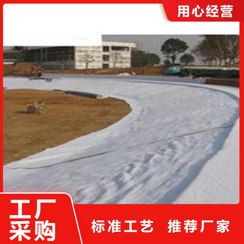 【 防水毯_蓄排水板厂家满足多种行业需求】 富泰土工材料(北京市分公司)