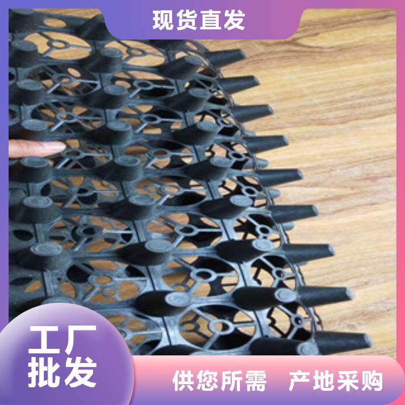 蓄排水板-植草格厂家价格公道合理