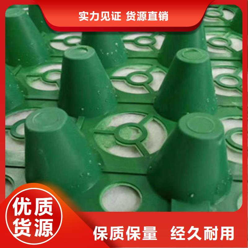 {富泰}【 蓄排水板-土工布厂家专业信赖厂家】kkfgg.com