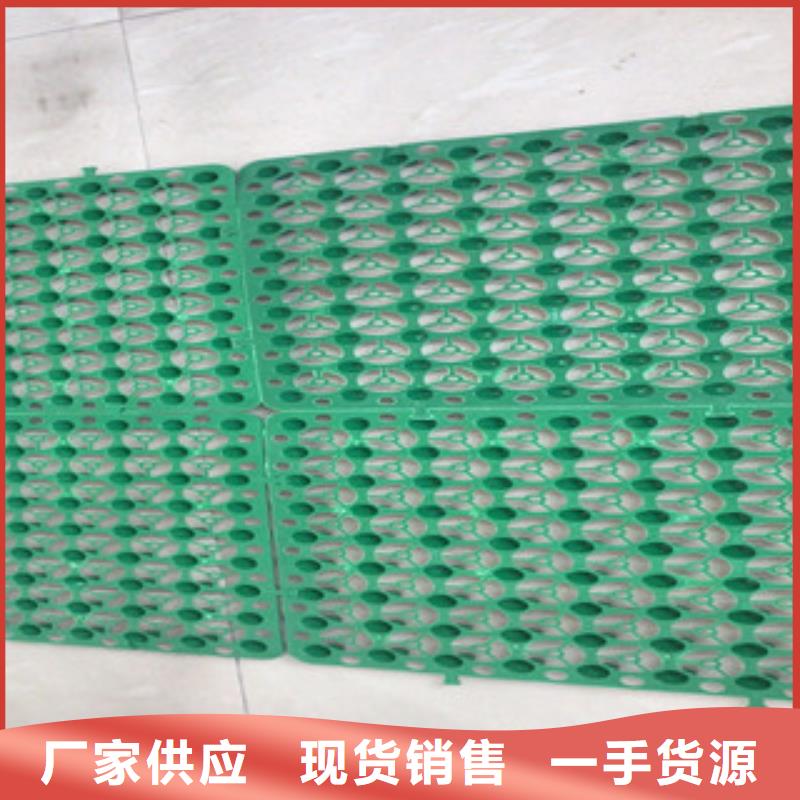 |保靖|古丈|长沙|永州|株洲|益阳(富泰)【 蓄排水板土工布厂家好产品好服务】