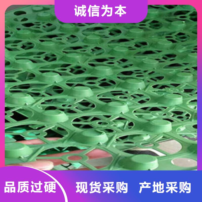 蓄排水板膨润土防水毯厂家符合标准